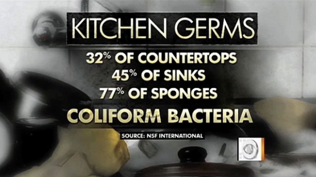 77% of Kitchen Sponges Contain Bacteria