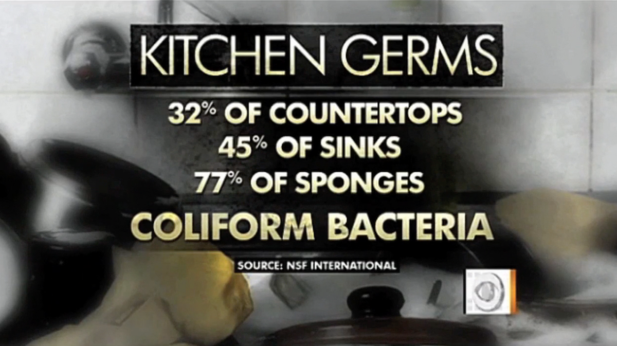 77 of Kitchen Sponges Contain Bacteria SpongeBath
