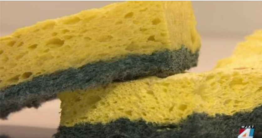 What you’ve heard about sanitizing your sponge may be all wrong