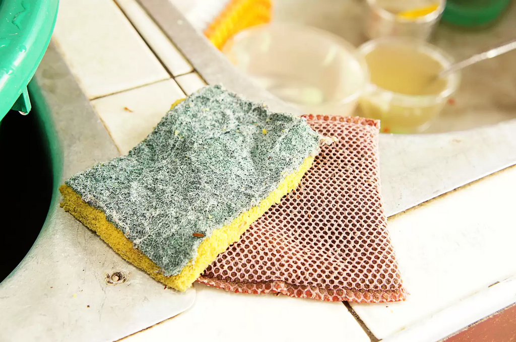 Kitchen Sponges Help Breed Bacteria Better