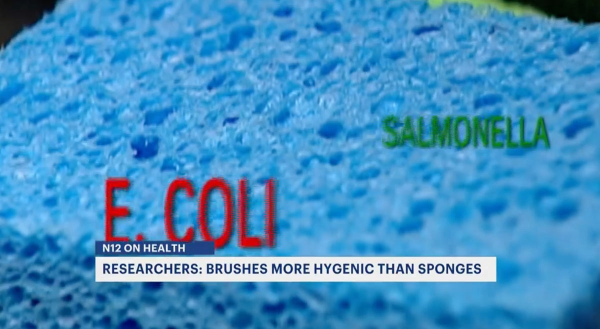 Researchers say your kitchen sponge can have more bacteria than there