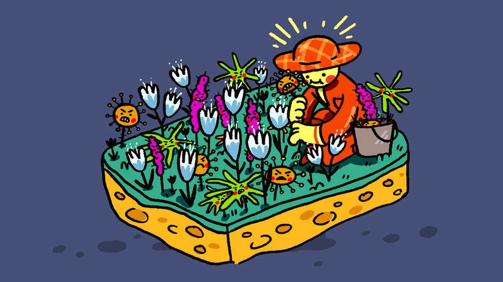NPR Discusses how dirty sponges are and what you can do about them
