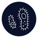 Odor-causing bacteria