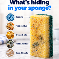 SpongeBath® Antimicrobial Sponge Cleaner