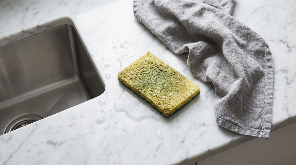 Protect Your Kitchen. Start With the Sponge.